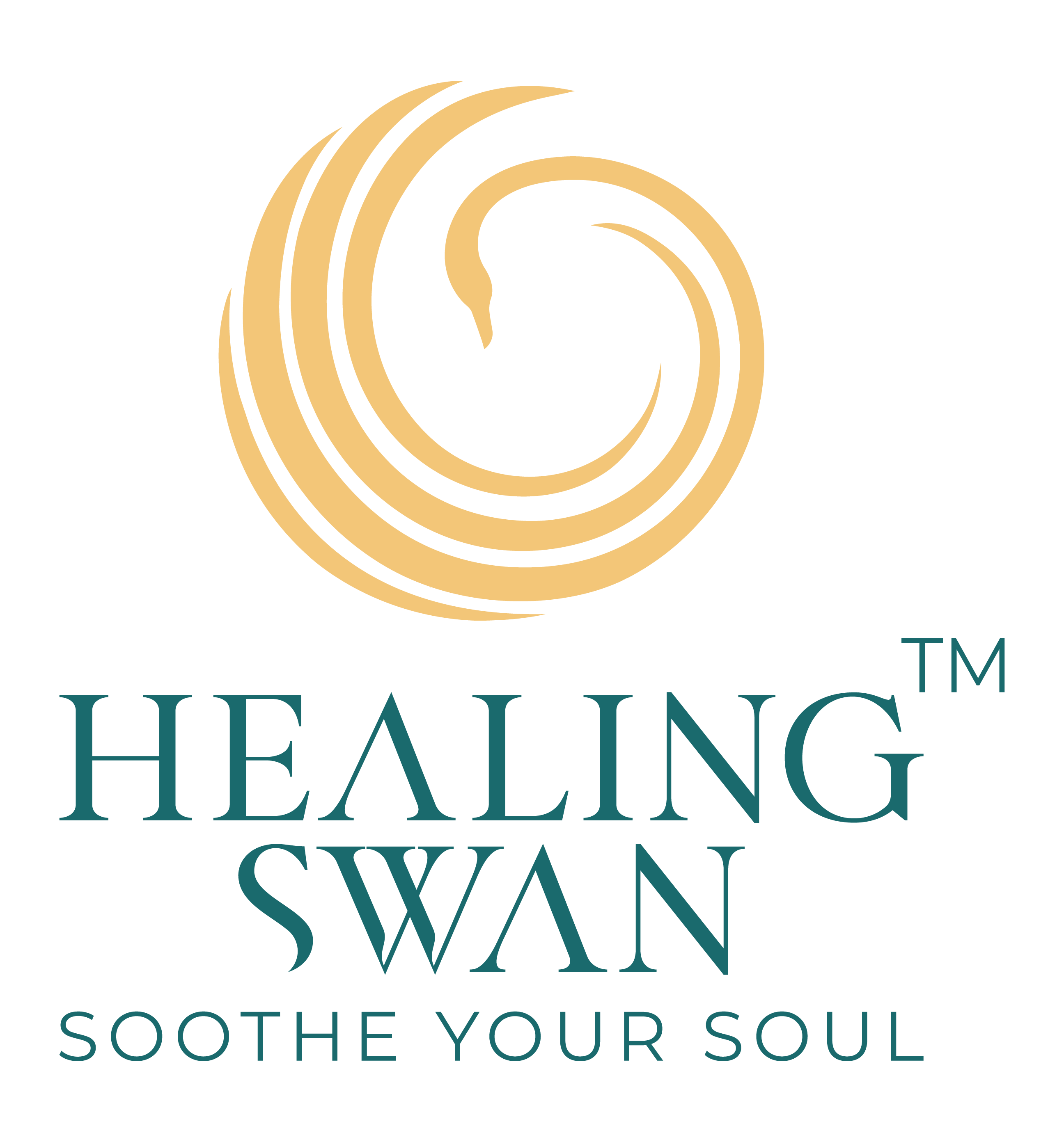 Logo Img